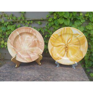 Set Of 2 Pier 1 Watercolor Blooms8 1/4" Salad Plates